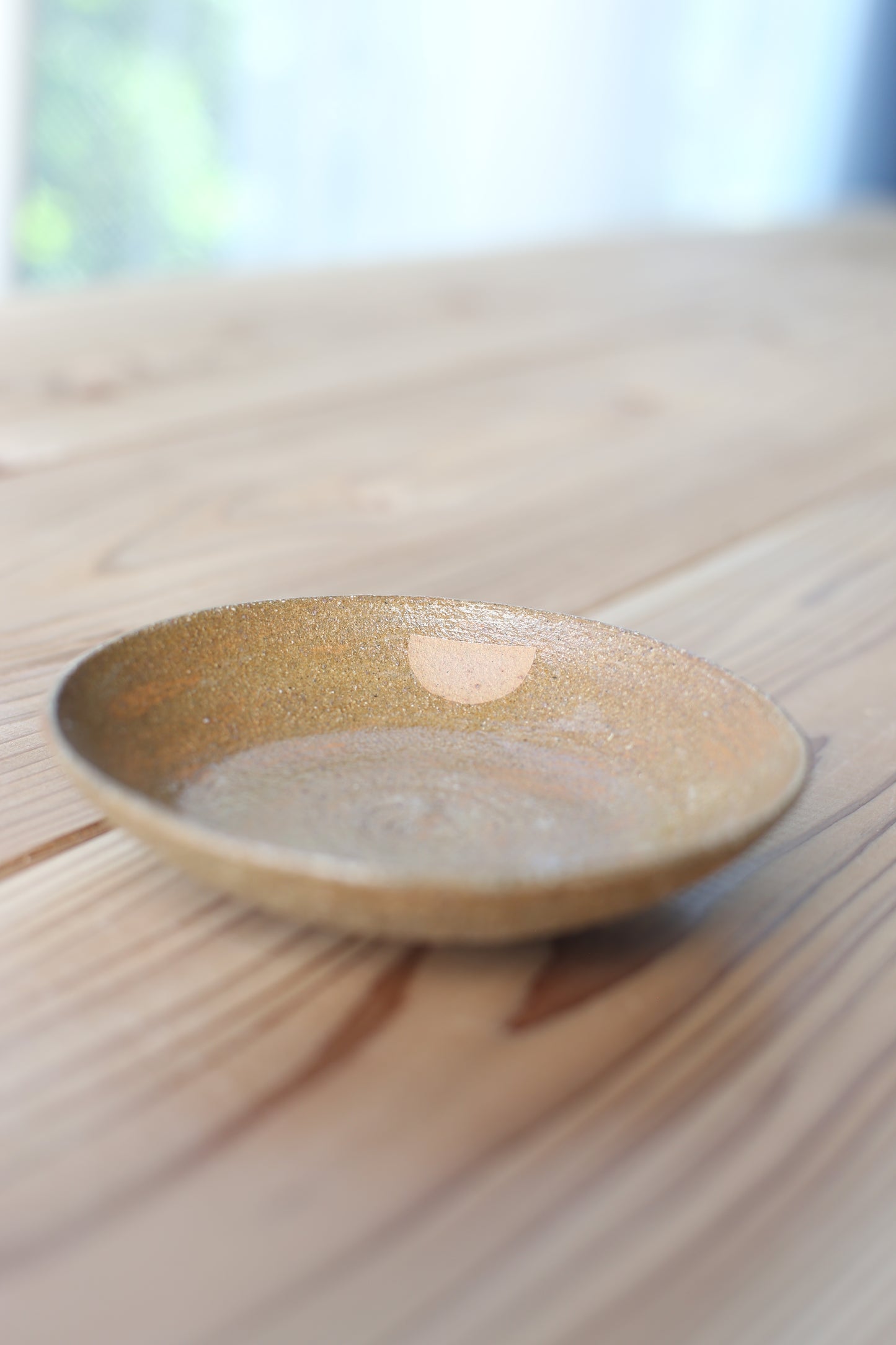 半点小皿 HAI/HAKEME_1